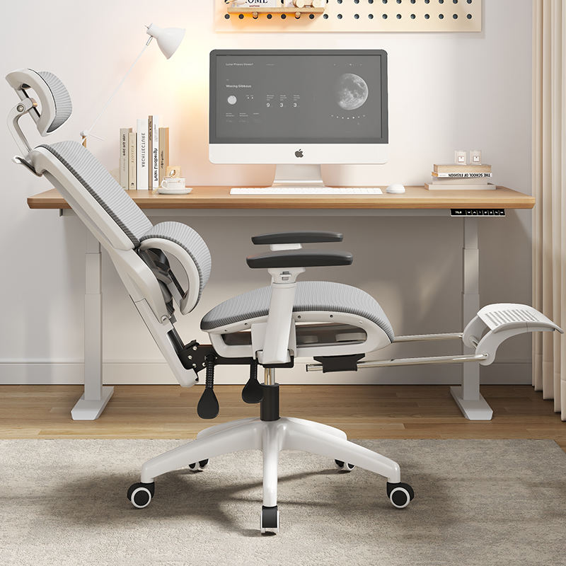 AMAL High Back Mesh Ergonomic Office Chair With Adjustable Lumbar Support Swivel Computer Chair